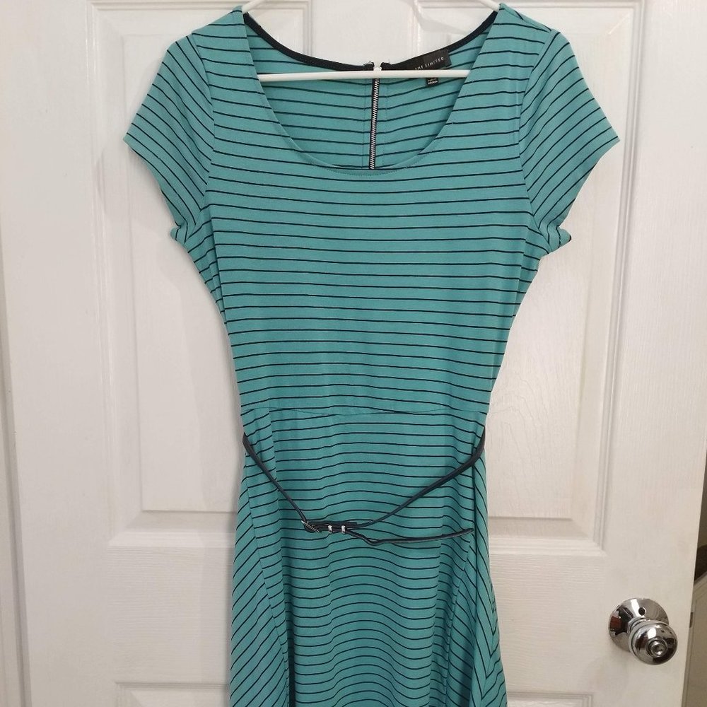 The Limited Blue w/ Navy Stripes Dress